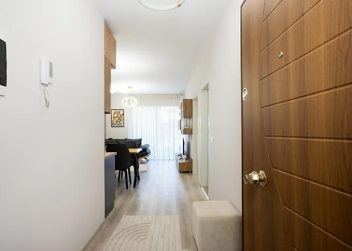 Huqi Luxury 3 *
